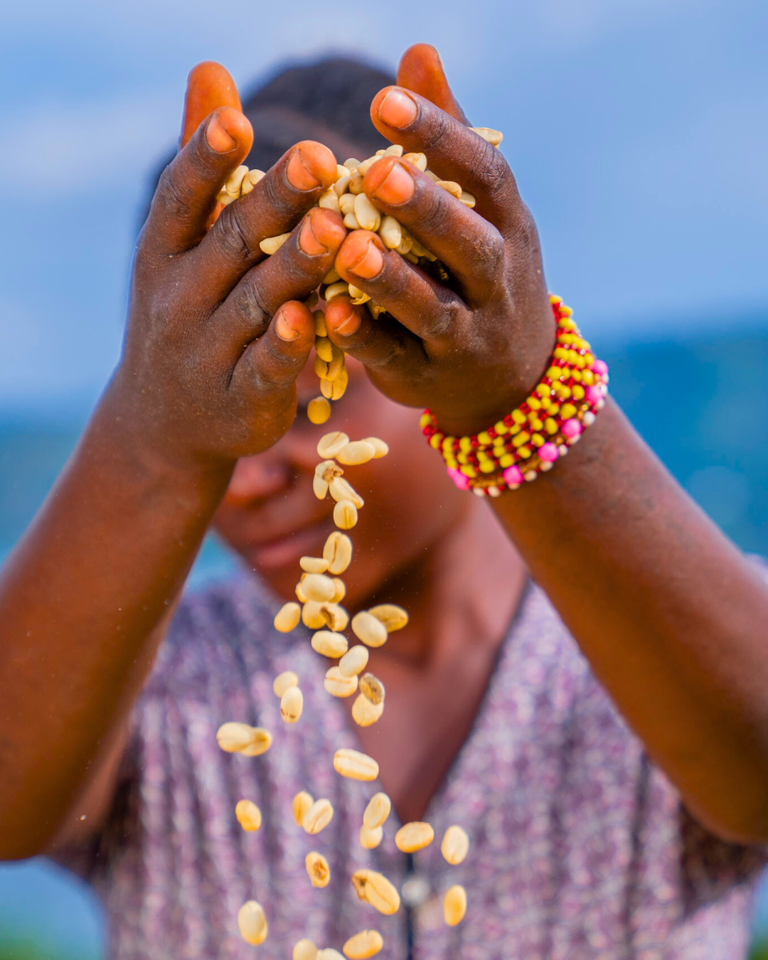 African lady holding green coffee beans