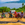 A group of five women from Idjwi Island sorting the drying coffee beans