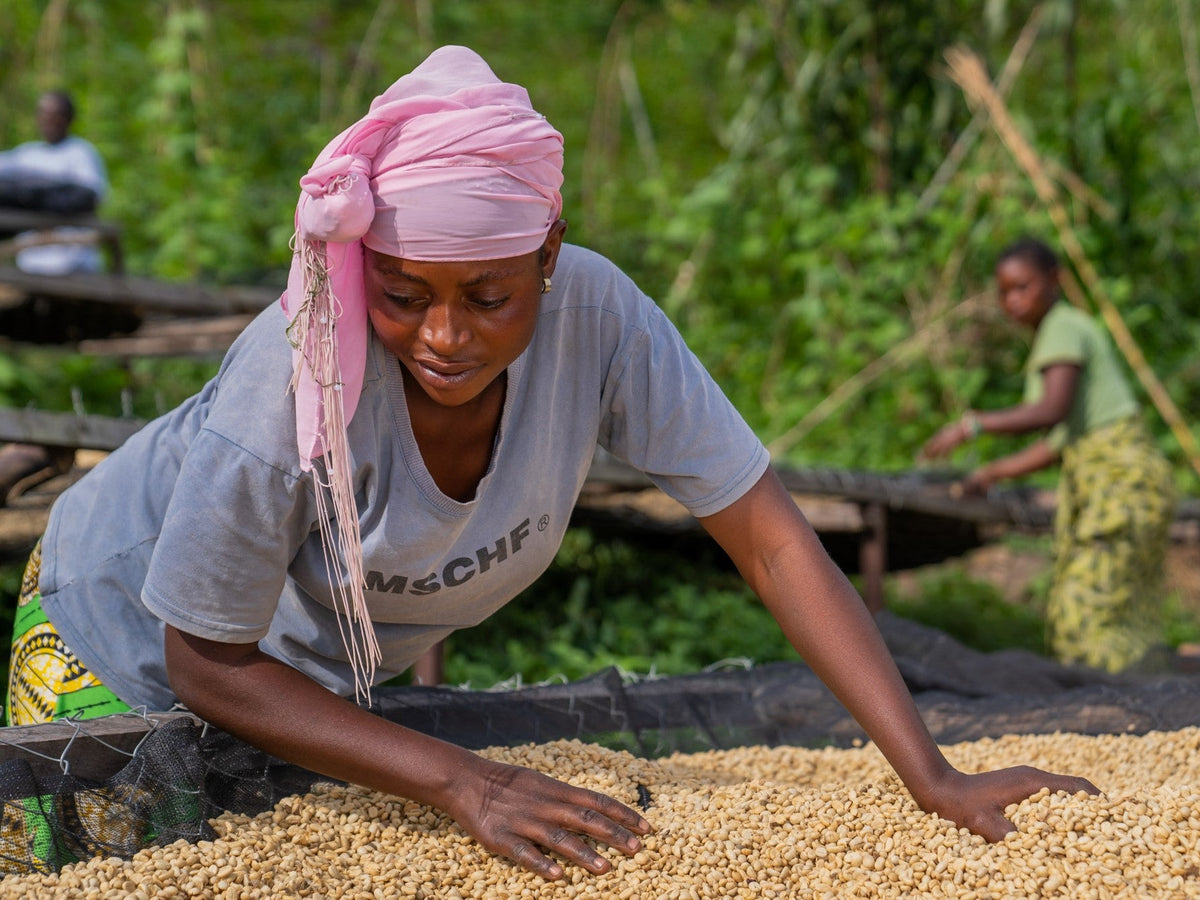 An African woman handling the drying coffee beans outside