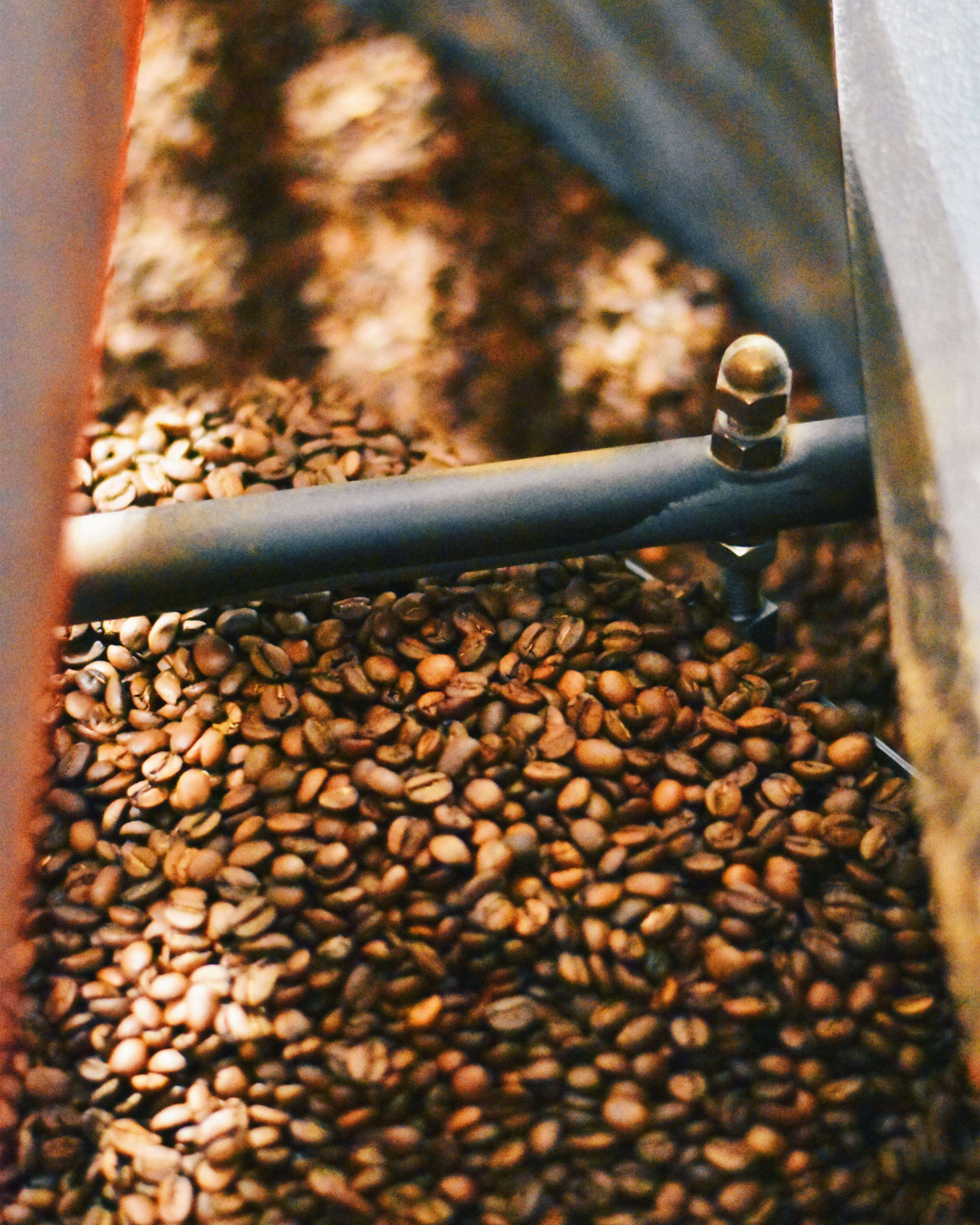 Coffee beans being roasted on Mozzo roastery machinery