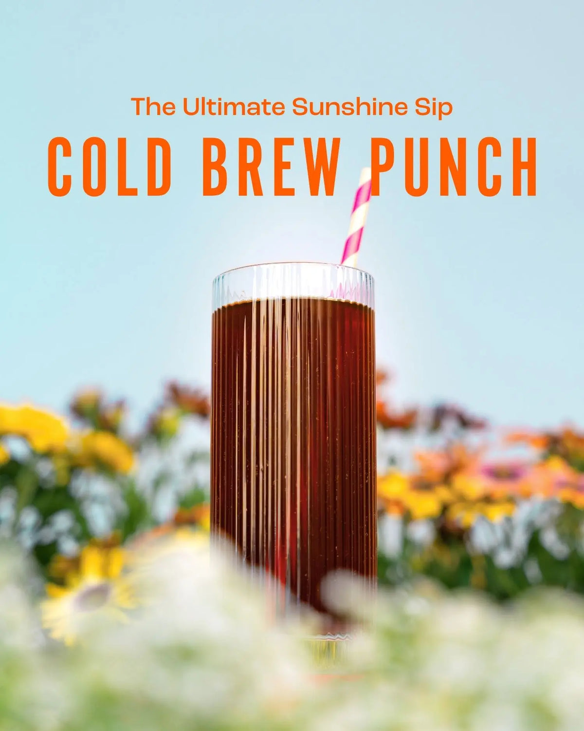 Cold Brew Punch