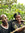 African man & woman standing amongst a coffee farm