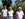 Three men, family of coffee growers from Guatemala standing in front of drying coffee beans