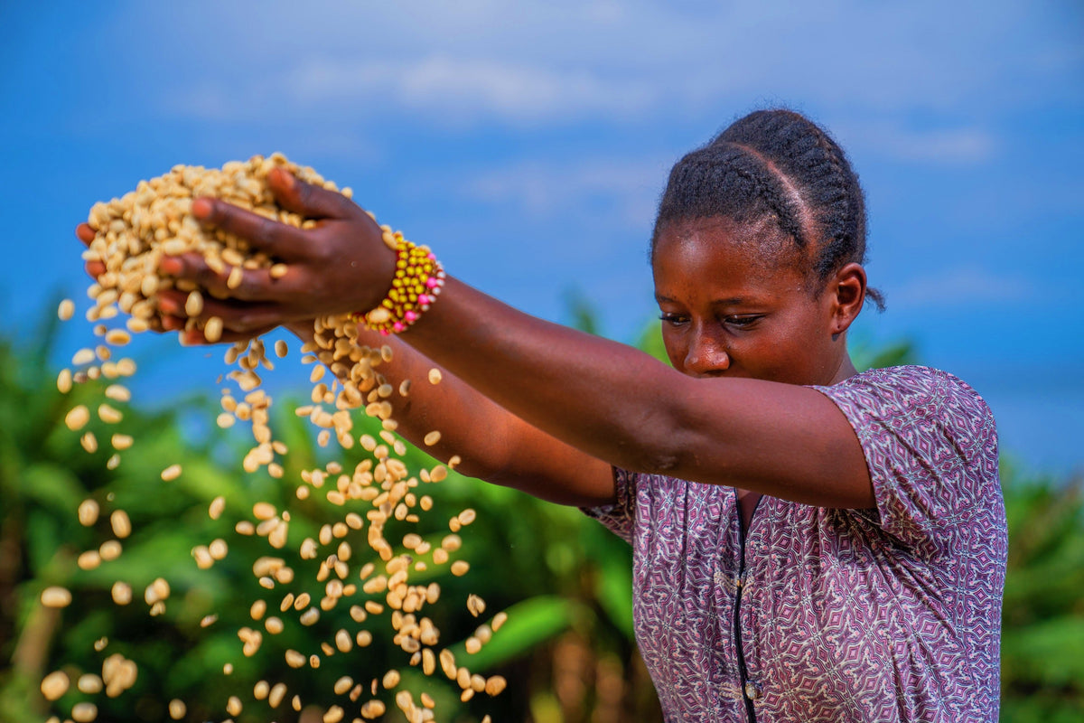 A young African woman throwing dried coffee beans in front of her 
